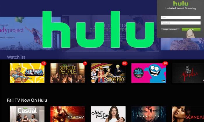 เหตุผลทั่วไปสำหรับการลงชื่อเข้าใช้ Hulu ในปัญหา -1
