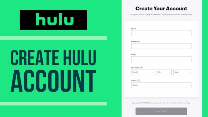 Fixa Hulu-inloggningsfel på olika enheter-1