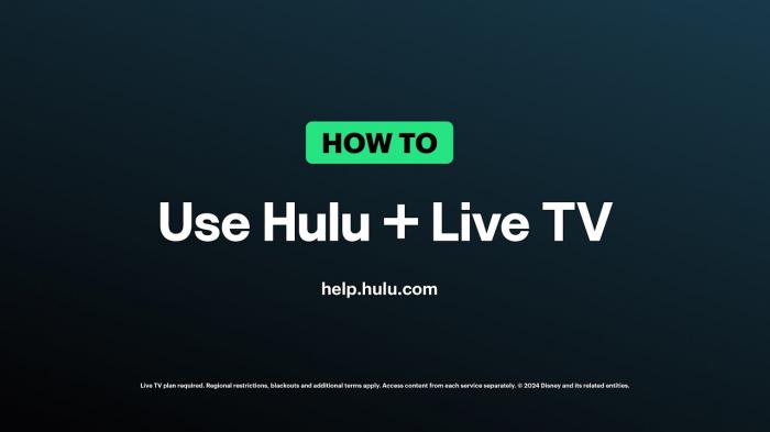 Contacter le support Hulu pour le signe de l'assistance-1