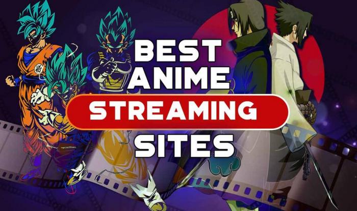 Bästa anime streaming Sites-1