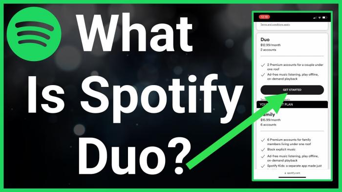 Wat is Spotify Duo-1