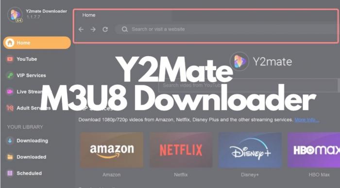 3. Y2Mate M3U8 Downloader-1