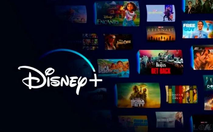 Télécharger l'application Disney Plus pour le connexion-1
