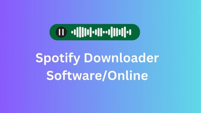 Spotify Downloader Alternatives-1