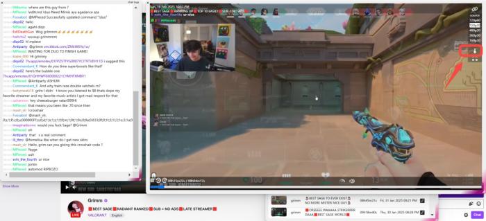 Ekstensi Pengunduh Twitch Terbaik: Twitch VOD Downloader-5