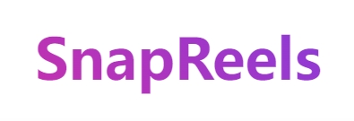 SnapReels Facebook reels video download tool